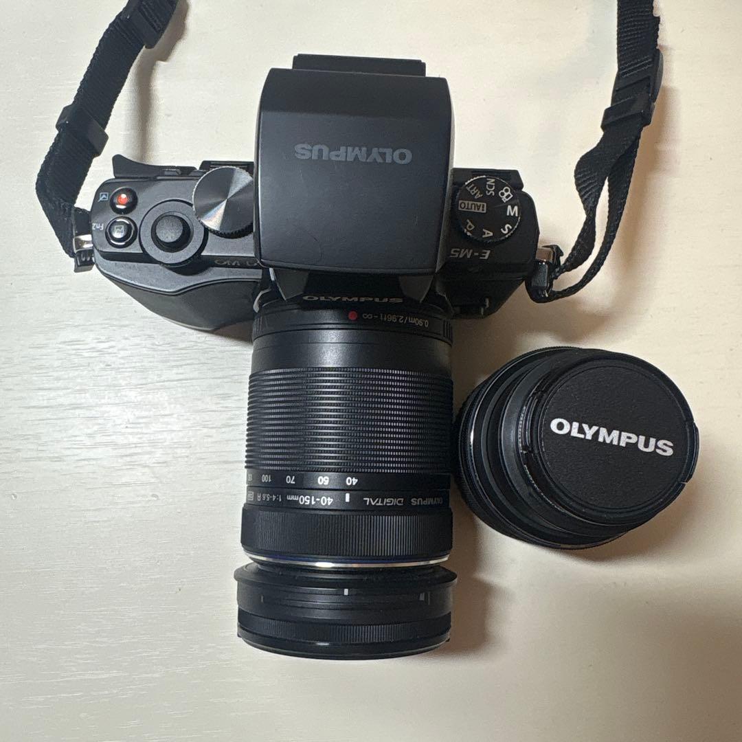 Olympus Mirrorless Interchangeable Lips Om-D Em5