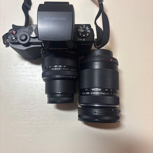 Olympus Mirrorless Interchangeable Lips Om-D Em5