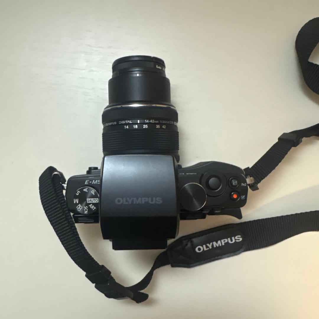 Olympus Mirrorless Interchangeable Lips Om-D Em5