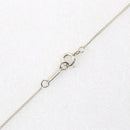 Tiffany Necklace Tiffany&Co. 925 3.4G