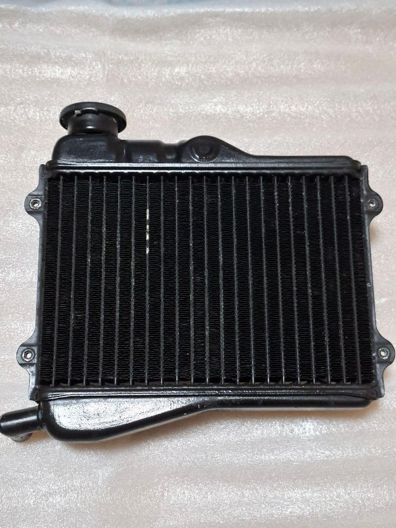 Yamaha Engine Cooling Rz250 4L3