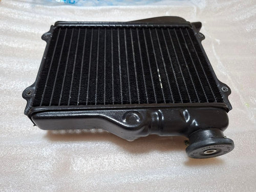 Yamaha Engine Cooling Rz250 4L3
