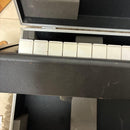 Yamaha Others 88 S80