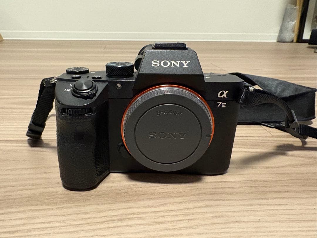 Sony Mirrorless Interchangeable Lens Cameras 7Iii Ilce-7M3