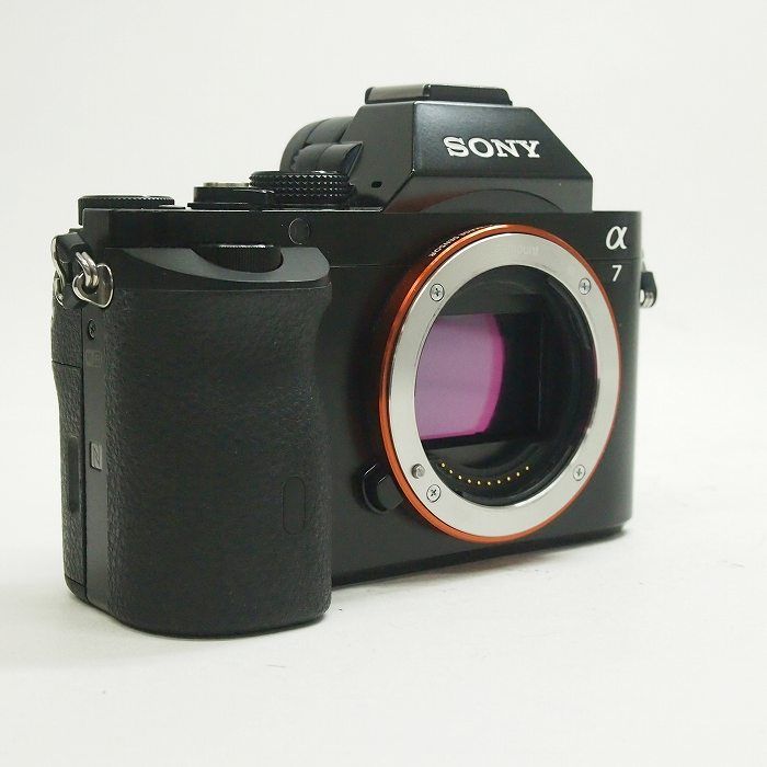 Sony Others 7(Ilce-7)