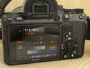 Sony Mirrorless Interchangeable Lens Cameras 7R Iv Fe 24105F4 G 70