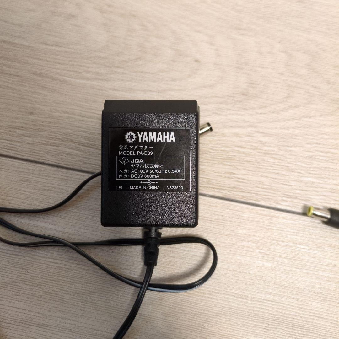 Yamaha Acoustic Guitars Slg-100S