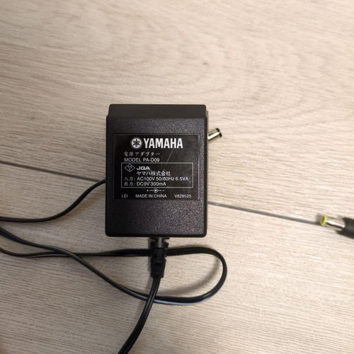 Yamaha Acoustic Guitars Slg-100S