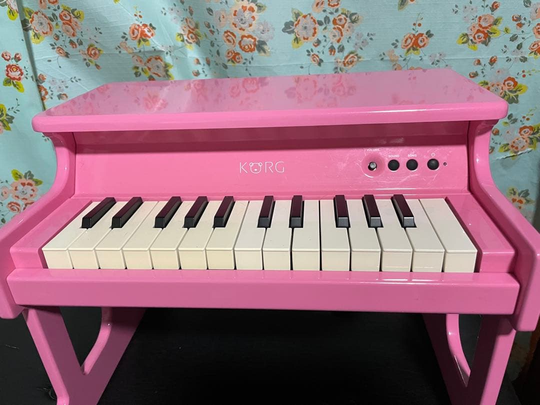 Keyboards Digital Pianos 3 Korg Tinypiano