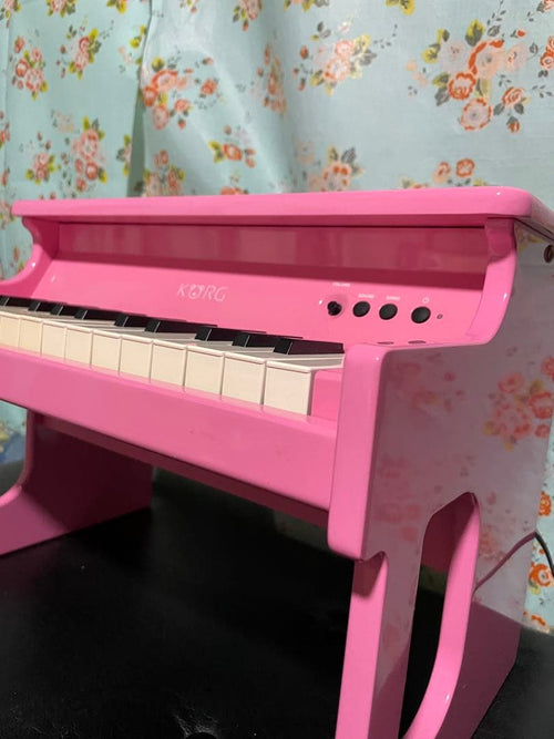 Keyboards Digital Pianos 3 Korg Tinypiano