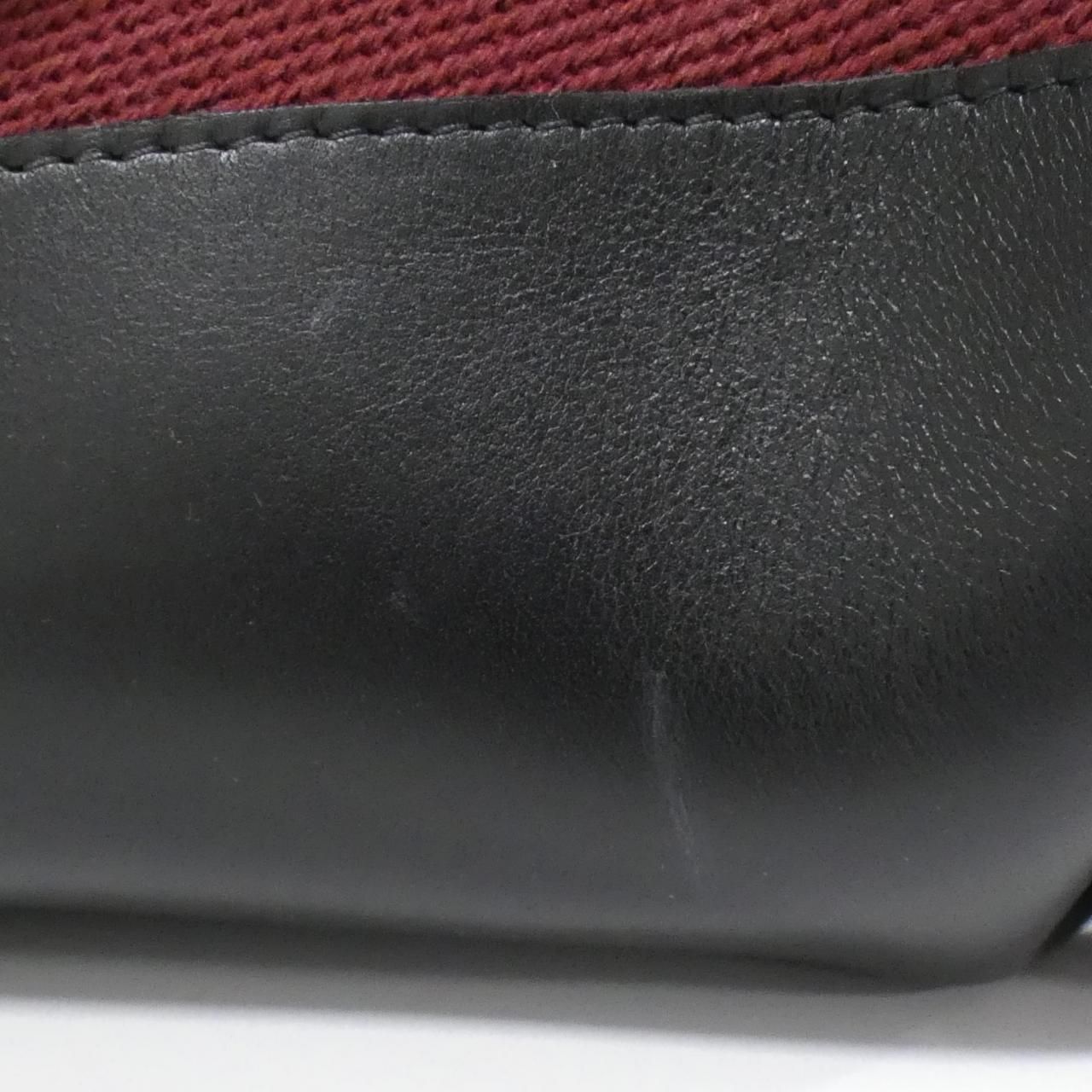 Loewe Handbag Paseo Samll A709P48X06 7124/Burgundy+Black Gold(