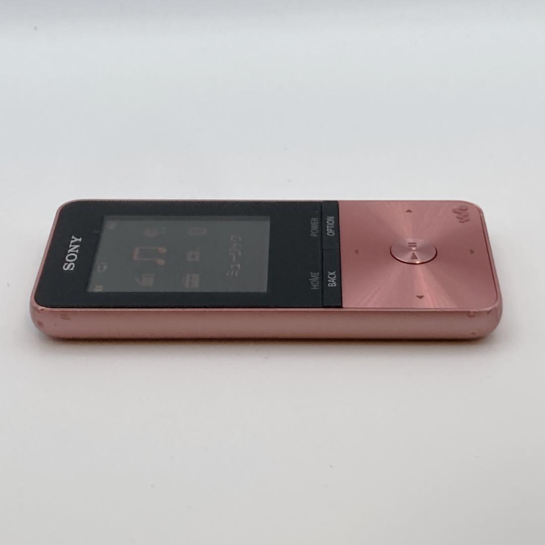 Sony Digital Audio Player Walkman Nw-S313 4Gb