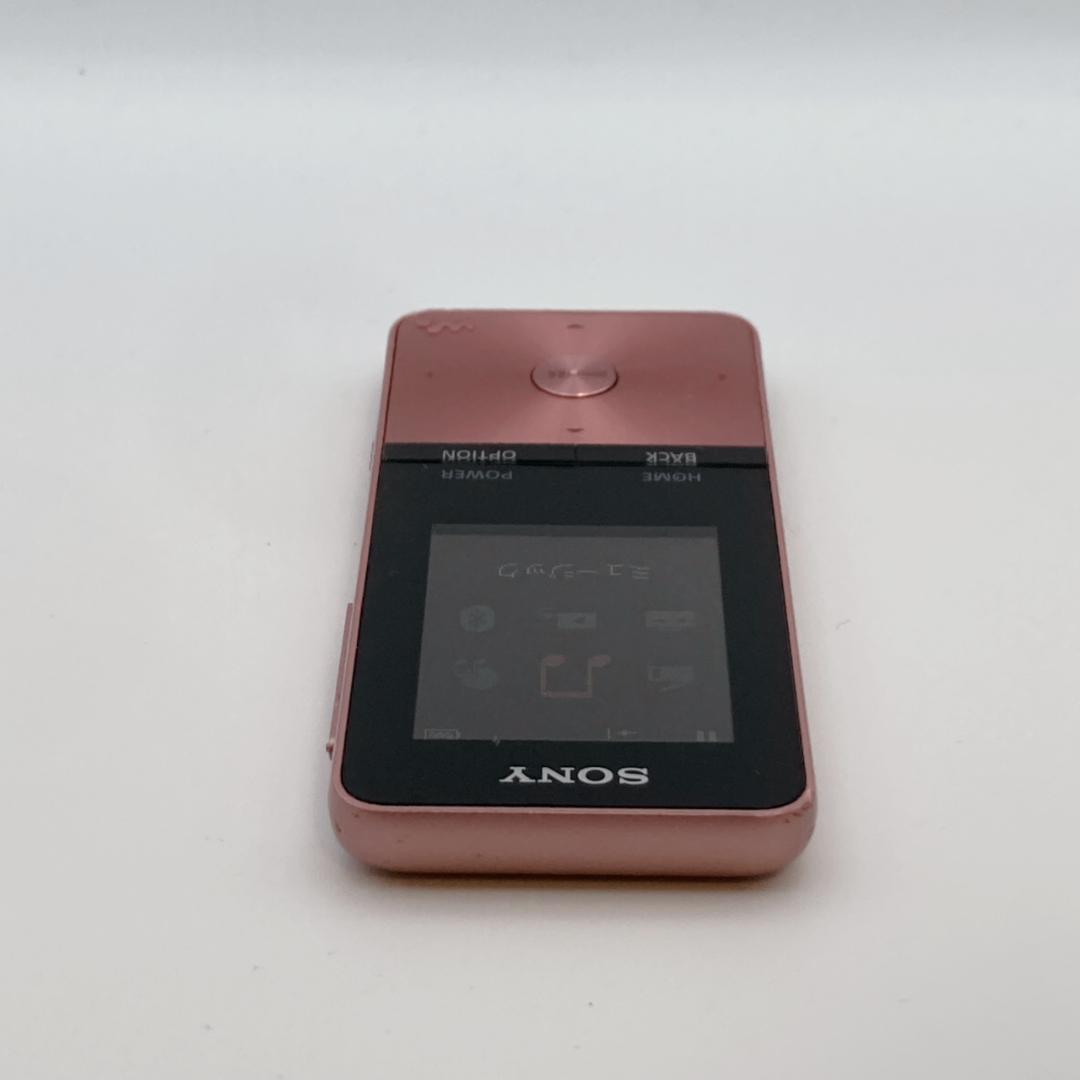 Sony Digital Audio Player Walkman Nw-S313 4Gb