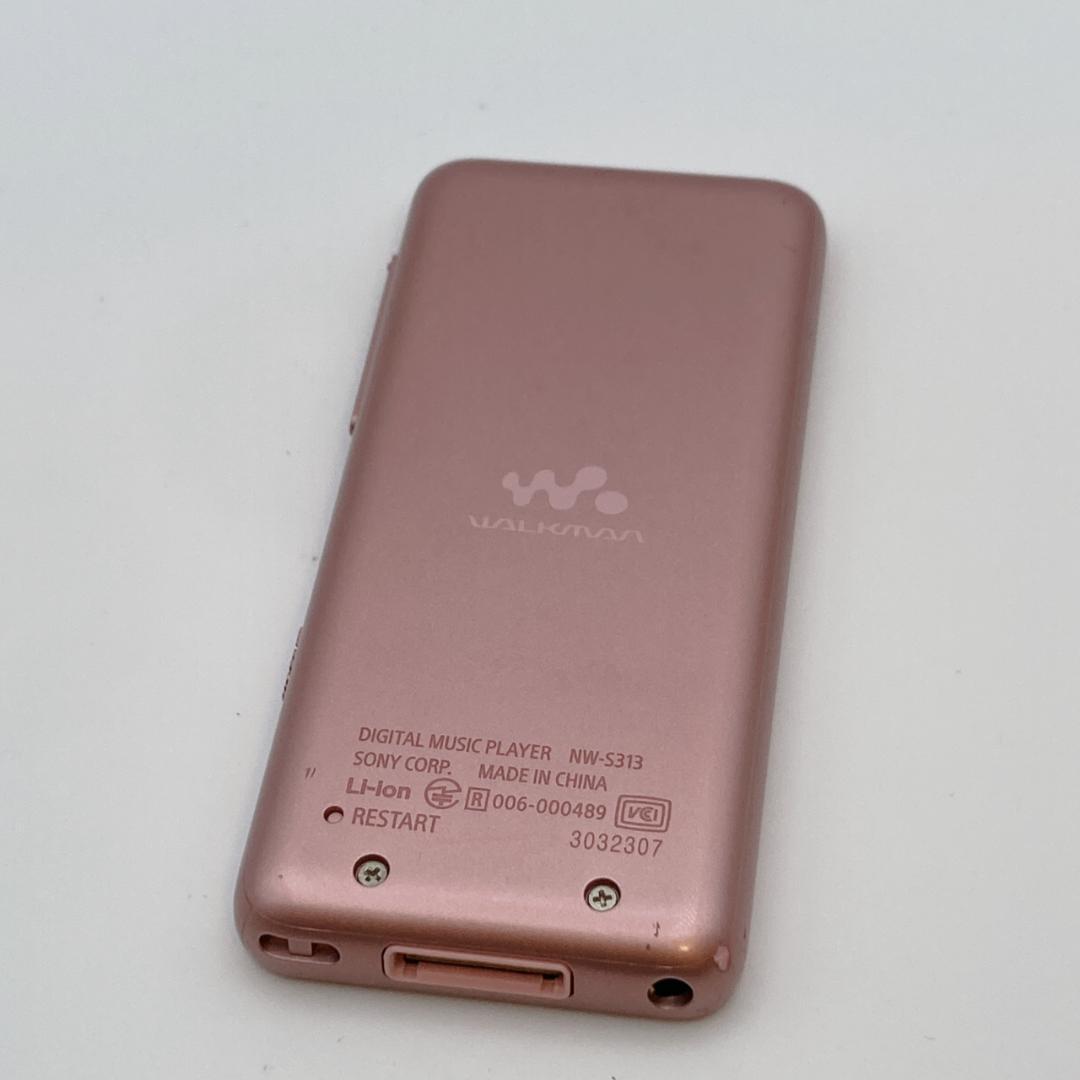 Sony Digital Audio Player Walkman Nw-S313 4Gb