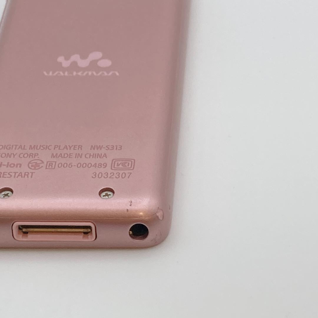 Sony Digital Audio Player Walkman Nw-S313 4Gb