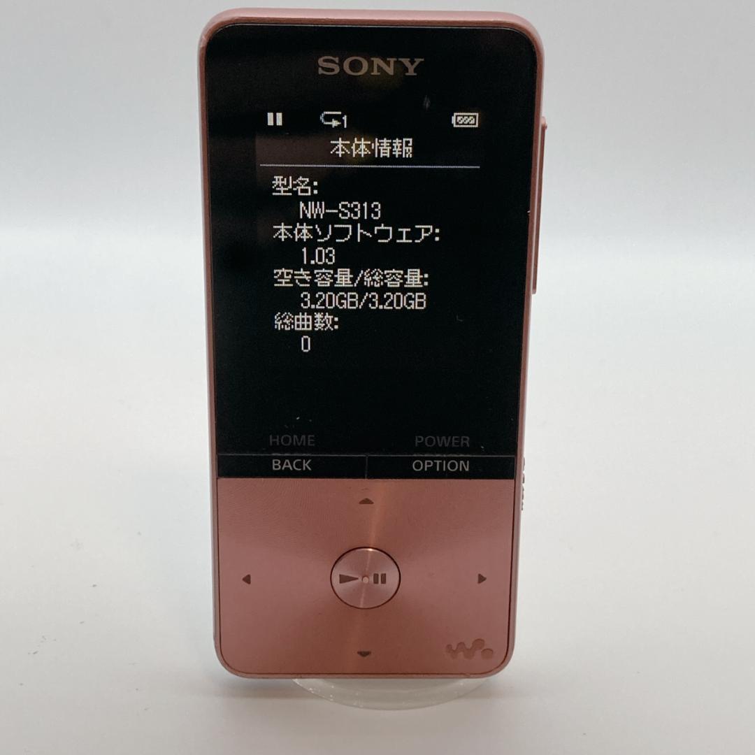 Sony Digital Audio Player Walkman Nw-S313 4Gb