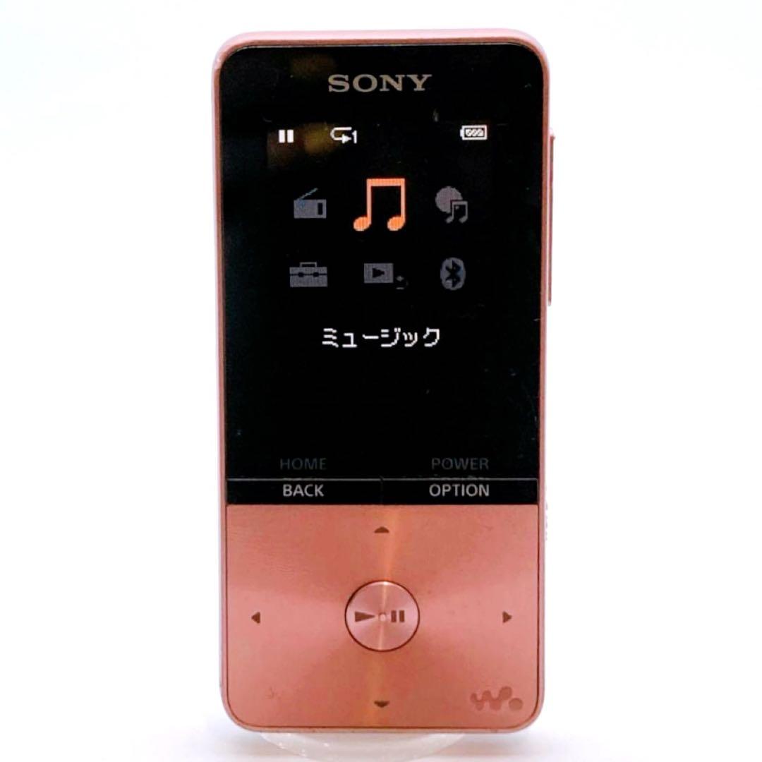 Sony Digital Audio Player Walkman Nw-S313 4Gb