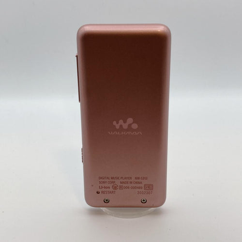 Sony Digital Audio Player Walkman Nw-S313 4Gb