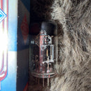 Vacuum Tubes Telefunken Ecc82 2