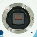 Pentax Mirrorless Interchangeable Lips 174 Q10 Type00: