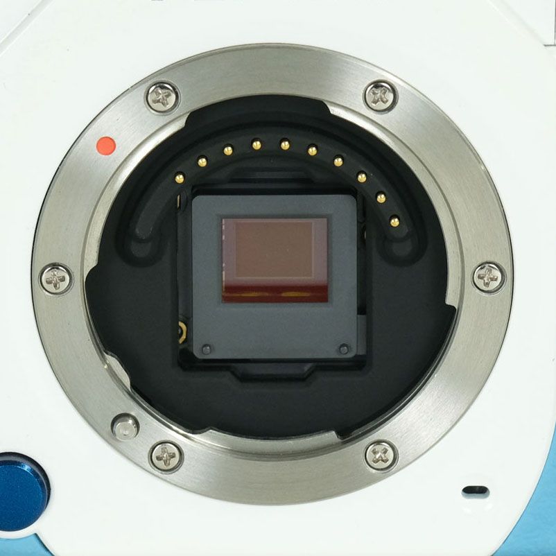 Pentax Mirrorless Interchangeable Lips 174 Q10 Type00:
