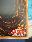 Yu -Gi -Oh! Ocg Duel Monsters (Foreign Language Version) 6
