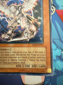 Yu -Gi -Oh! Ocg Duel Monsters (Foreign Language Version) 6