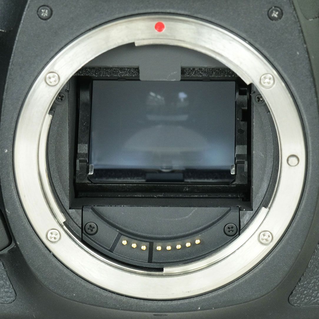Canon Digital Slr Eos 5D Mark Iii Ef