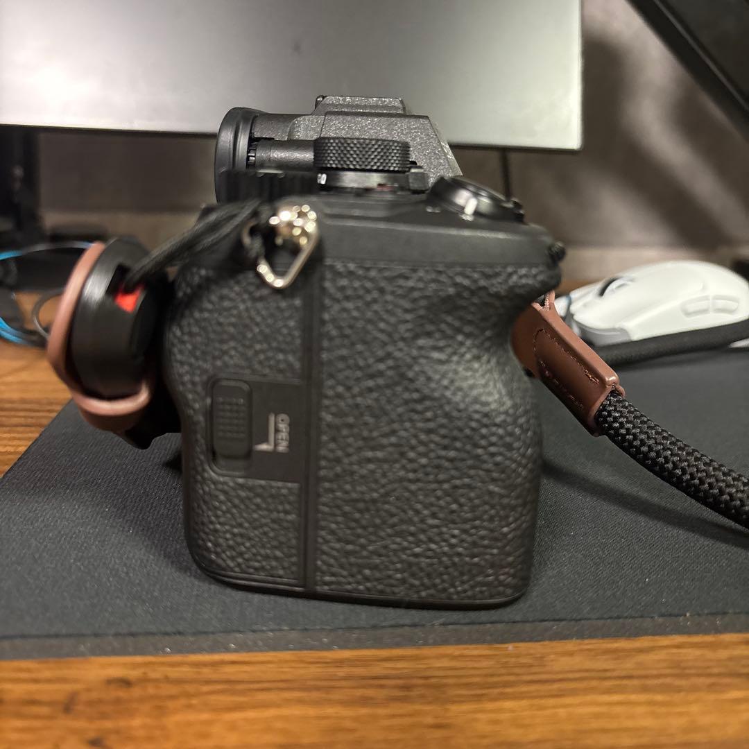 Sony Mirrorless Interchangeable Lens Cameras 7 Iv 4993