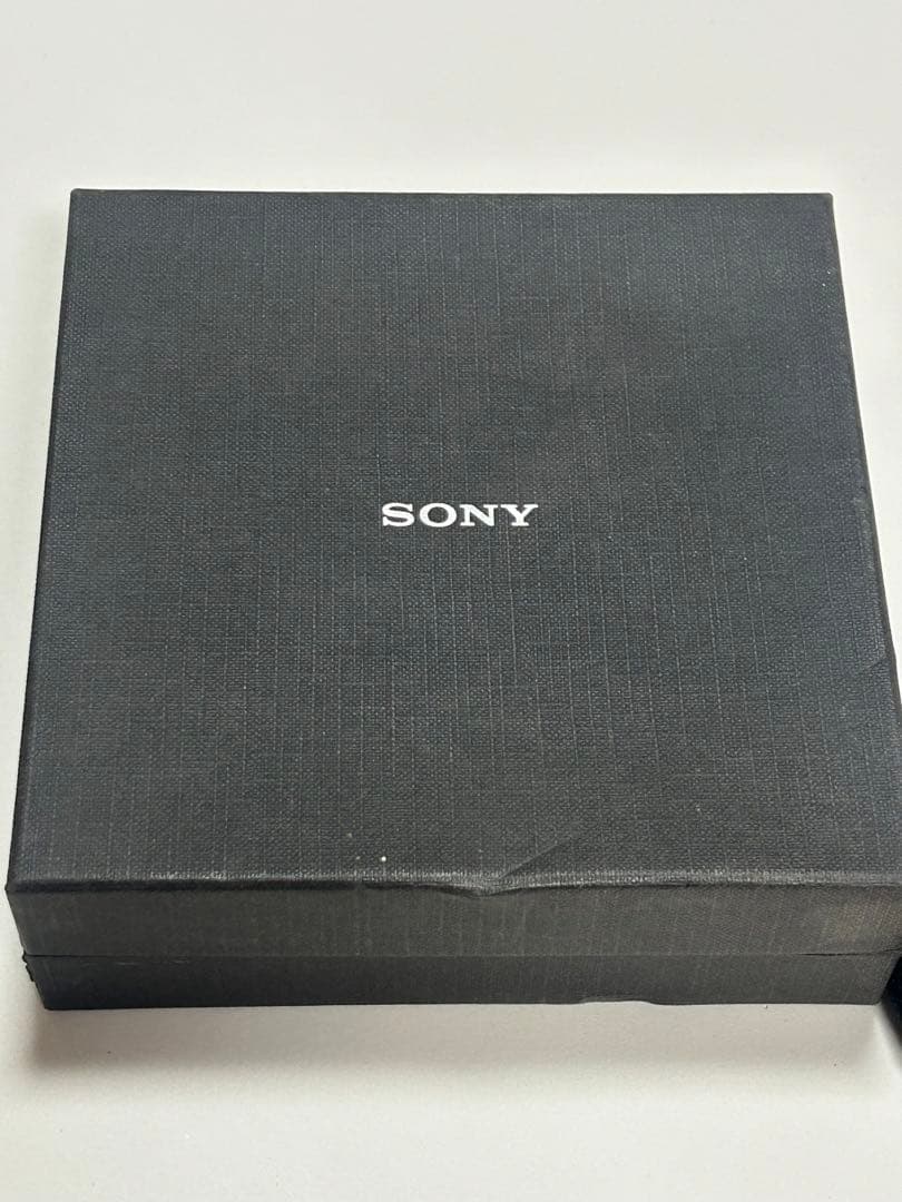 Sony Digital Audio Player Nw-A605