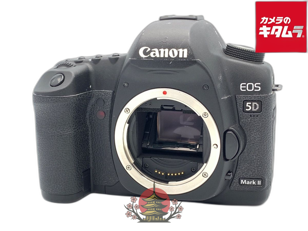 Digital Slr Eos 5D Markii