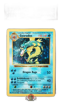 Pokemon Card Game Psa Gyarados Psa5
