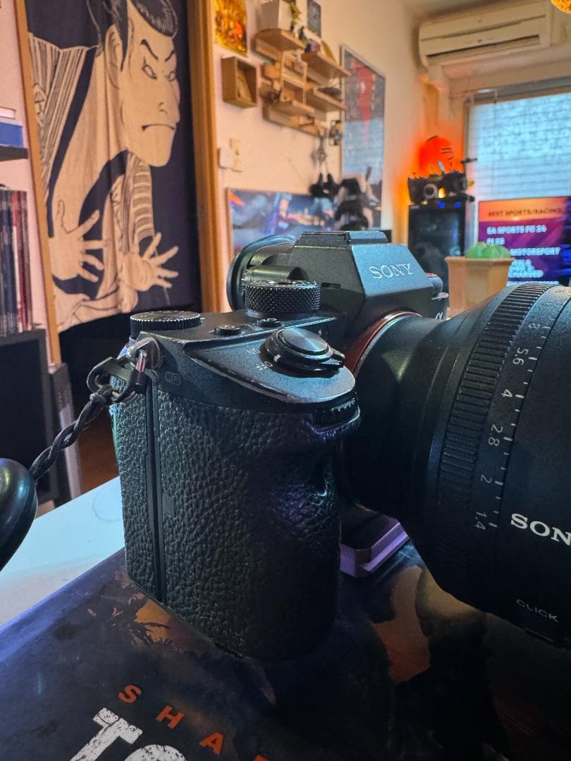 Sony Mirrorless Interchangeable Lens Cameras Iii
