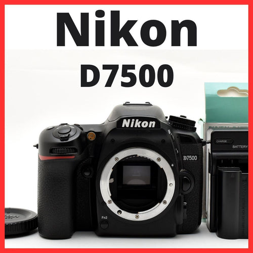 Nikon Digital Slr F23[7990]41 D7500