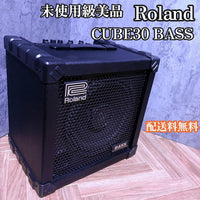 Roland Bass Amps Cube-30 Cb-30