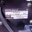 Roland Bass Amps Cube-30 Cb-30