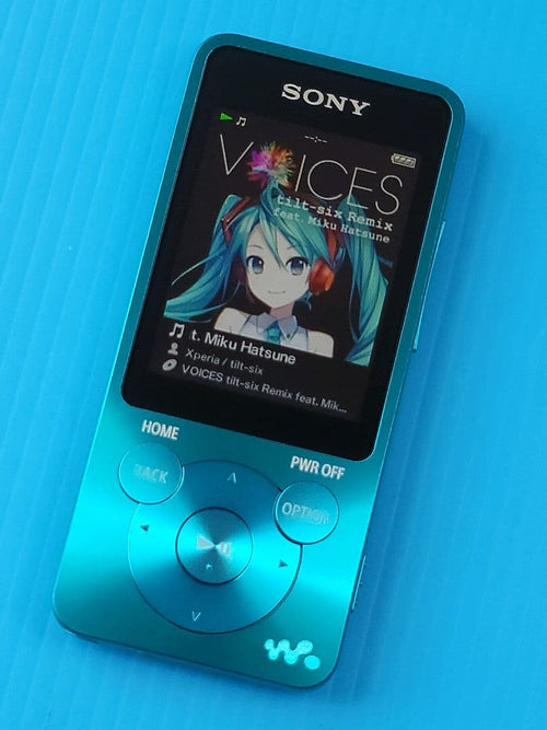 Sony Digital Audio Players Bluetooth Walkman Nw-S13 L