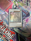Yu -Gi -Oh! Ocg Duel Monsters (Foreign Language Version) 1St