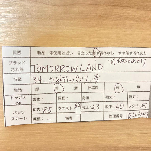 Tomorrowland Slacks 34