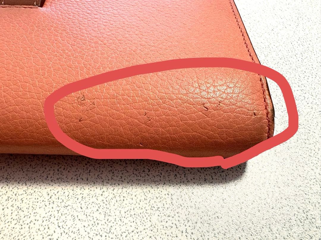Loewe Long Wallets