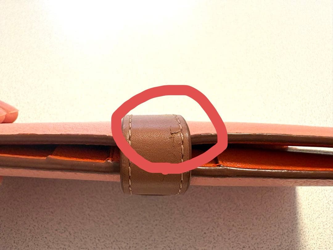 Loewe Long Wallets