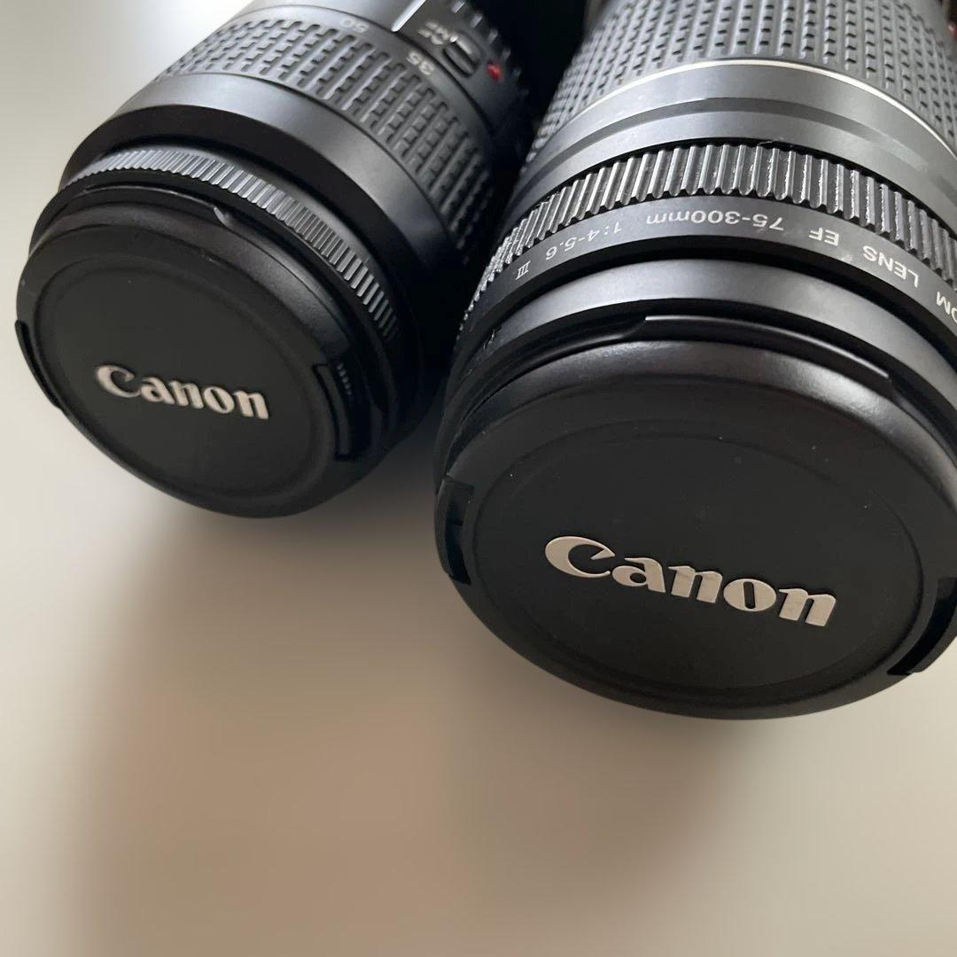 Canon Slr Cameras (Film) Eos 503 2