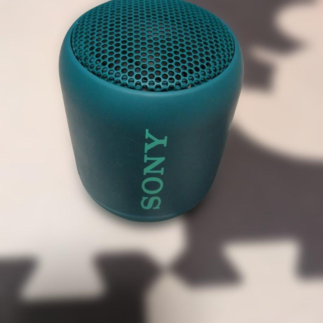 Sony Wireless Speakers