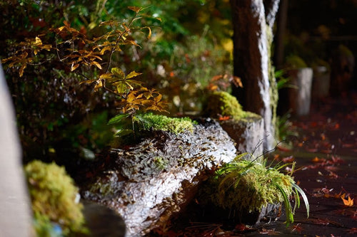 Fujifilm Prime Lenses Fujinon Xf33Mmf1.4 R Lm Wr