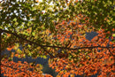 Fujifilm Prime Lenses Fujinon Xf33Mmf1.4 R Lm Wr