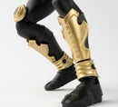 Premium Bandai Kamen Rider Shf
