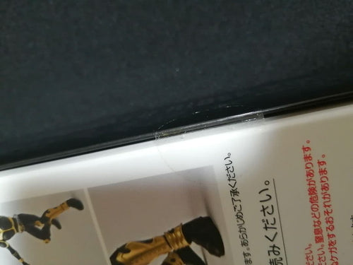 Premium Bandai Kamen Rider Shf