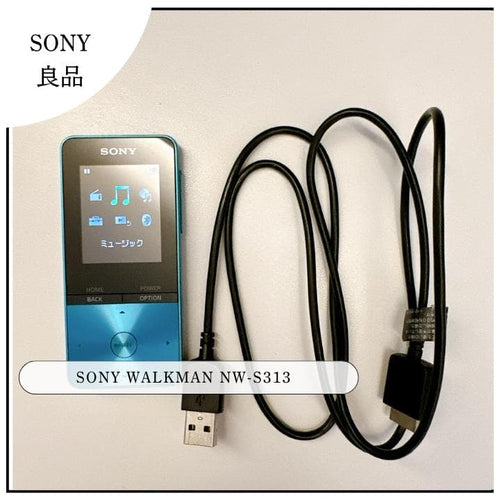 Sony Digital Audio Players 4Gb Walkman Nw-S313