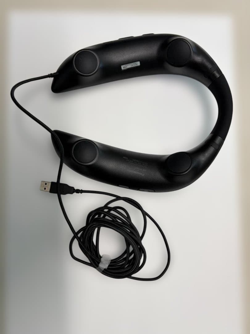 Panasonic Neck Speakers Sc-Gn01