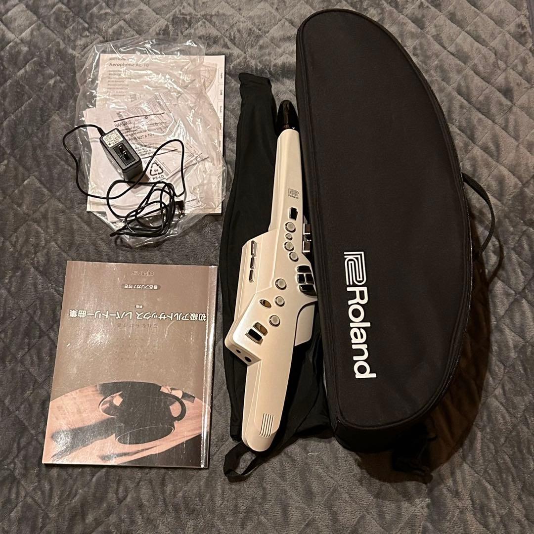 Roland Others Aerophone Ae-10